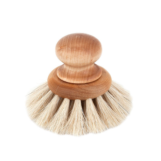 dish brush in birch/maple and horse hair