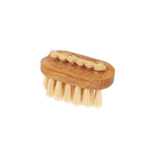 oak nail brush with tampico fibre